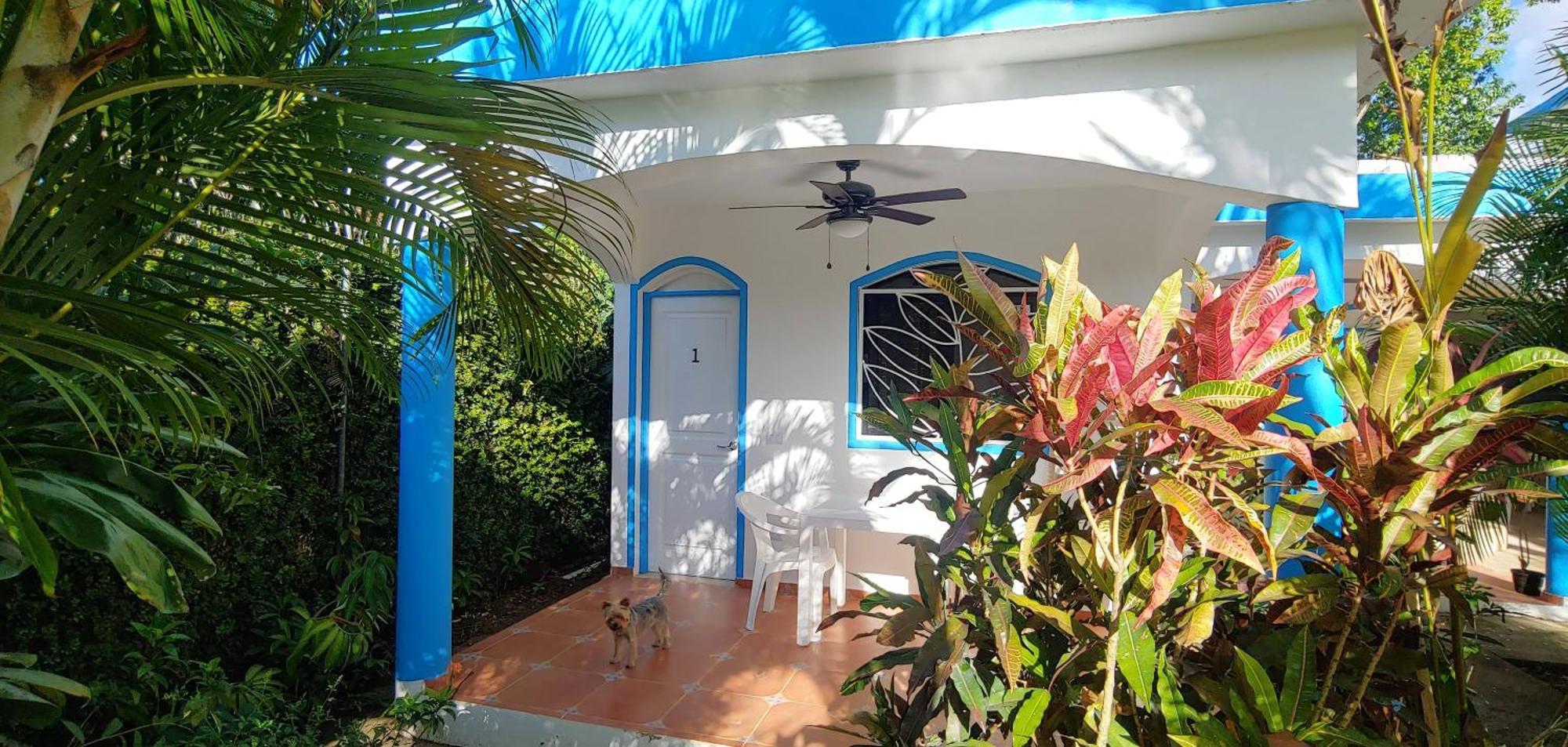 Chambre Bungalow2 Las Terrenas Exterior photo